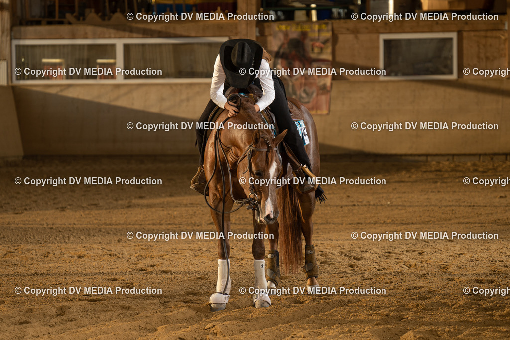 LAU02009 | dv-media-shop - Realisiert mit Pictrs.com