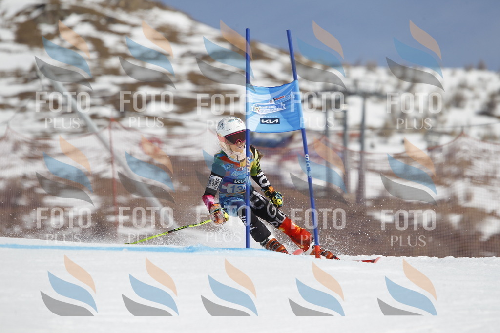 _U3G0849 | holidayphoto