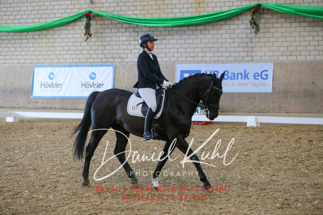 IMG_2646 | Turnierfotos kaufen im Webshop von Daniel Kuhl Photography – entdecke professionelle Reitsportfotos aus Turnieren & Events. Hochwertige Turnierbilder online bestellen & sichern. Jetzt Fotos von Reitsportturnieren kaufen!