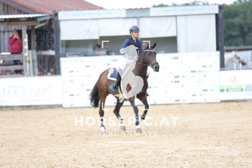 0P6A4740 | Willkommen bei Brunnmayr - Design & Fotografie – Ihrem Spezialisten für Reitturniere und Pferdeveranstaltungen in Oberösterreich, Salzburg und Bayern! Seit über 17 Jahren sind wir leidenschaftlich dabei.