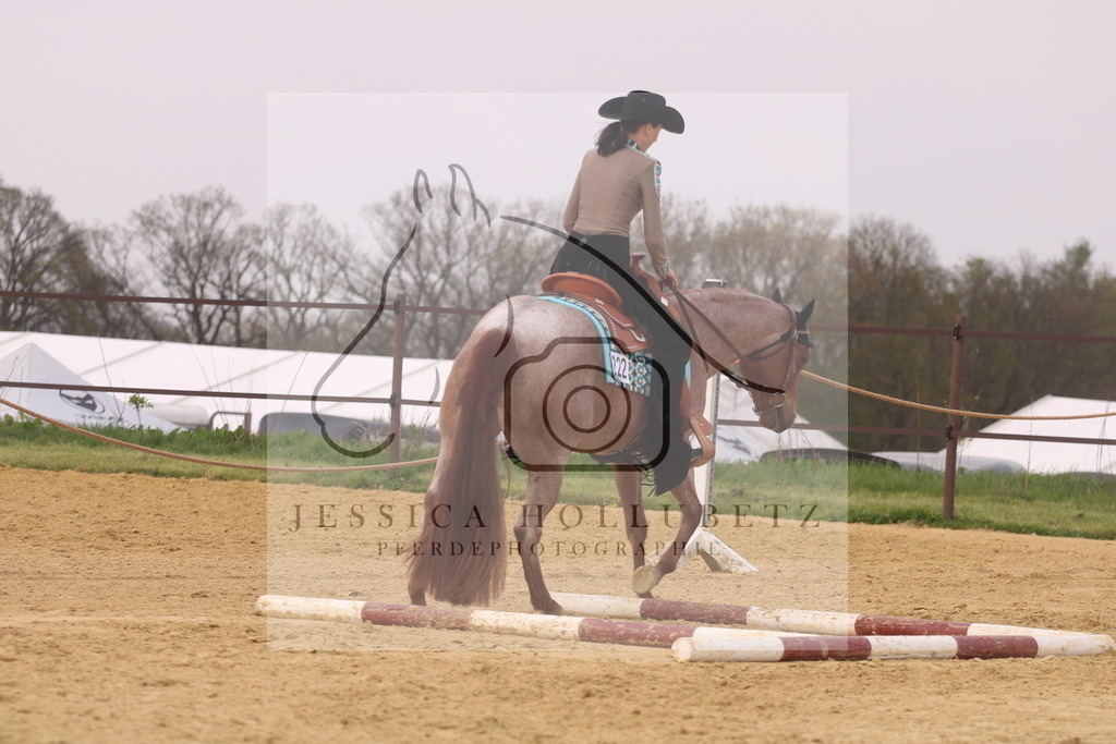 IMG_8288 | jessicahollubetz_pferdephotographie - Realisiert mit Pictrs.com