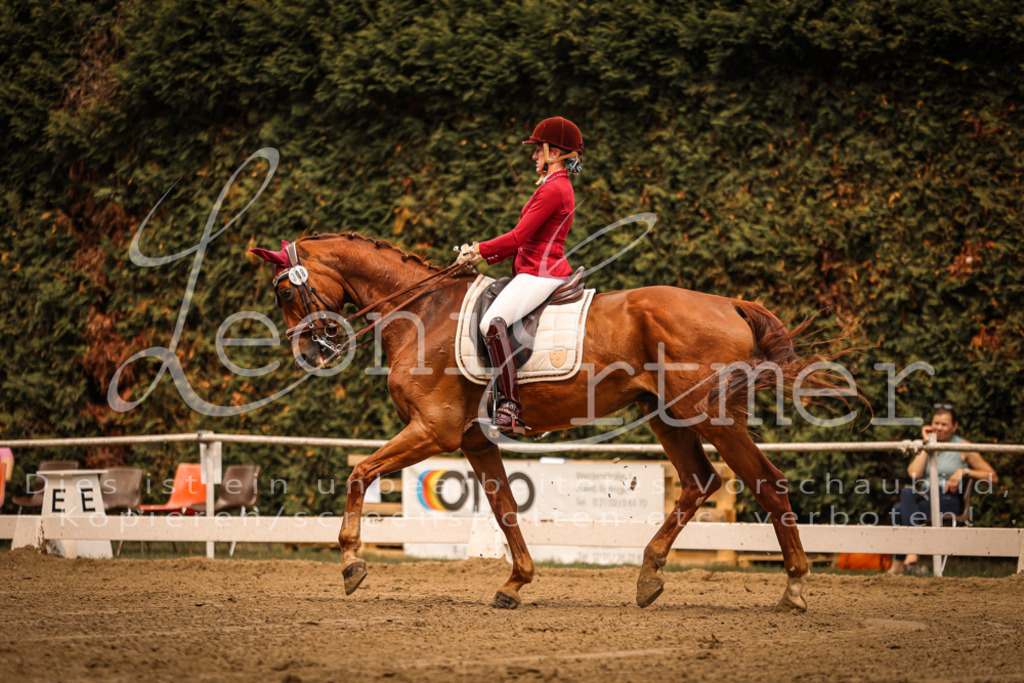 16.SaDrM00095 | Leoni Ertmer Photography - Realisiert mit Pictrs.com