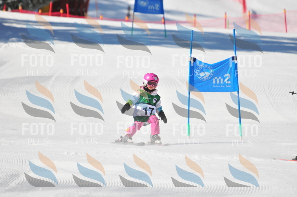 C1896 | holidayphoto