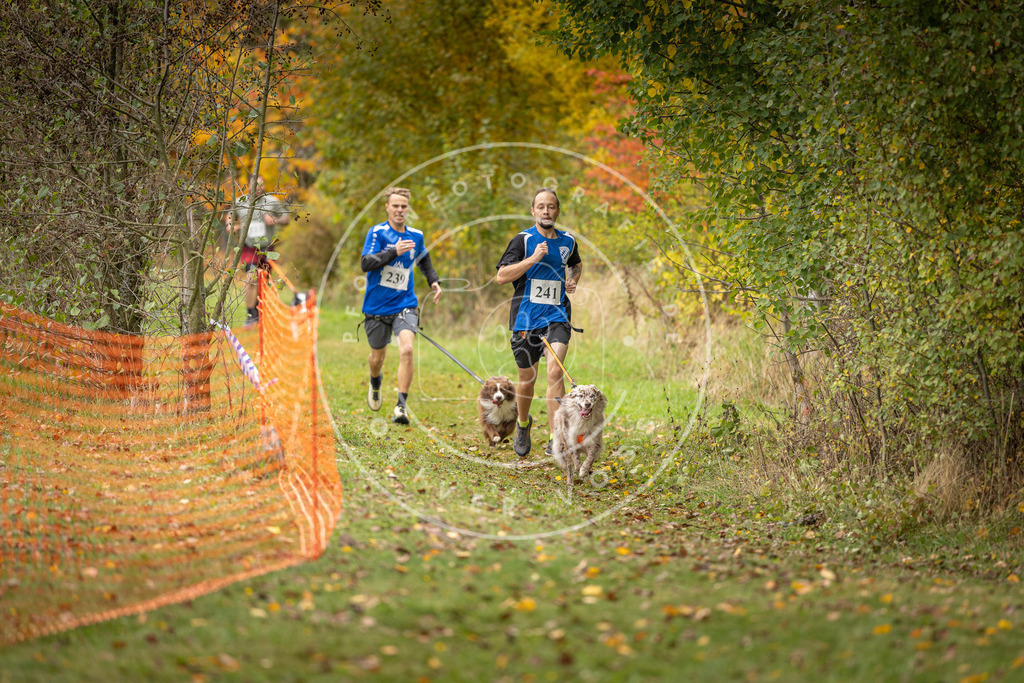 Pfotenfotografie_DV3A4281 | Hundefotografie, Tierfotograf, Pfotenfotografie, Fotoshooting Hund, Hunde Portrait, Hundesport, Hundeportraits, Heideshooting, Hunde, Sportfotograf, Hundefotograf, Turnierhundsport, THS,  - Realisiert mit Pictrs.com