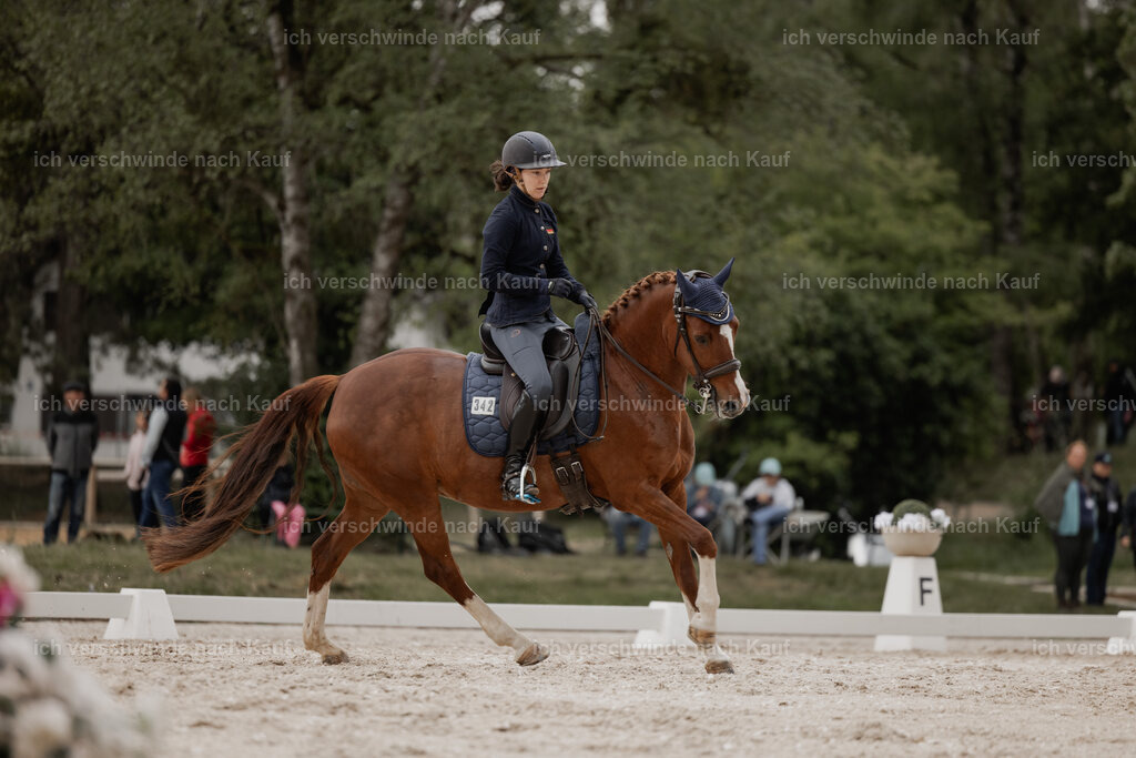 WE_DR_Stoib_PI2025_181 | Pferd International München 2025