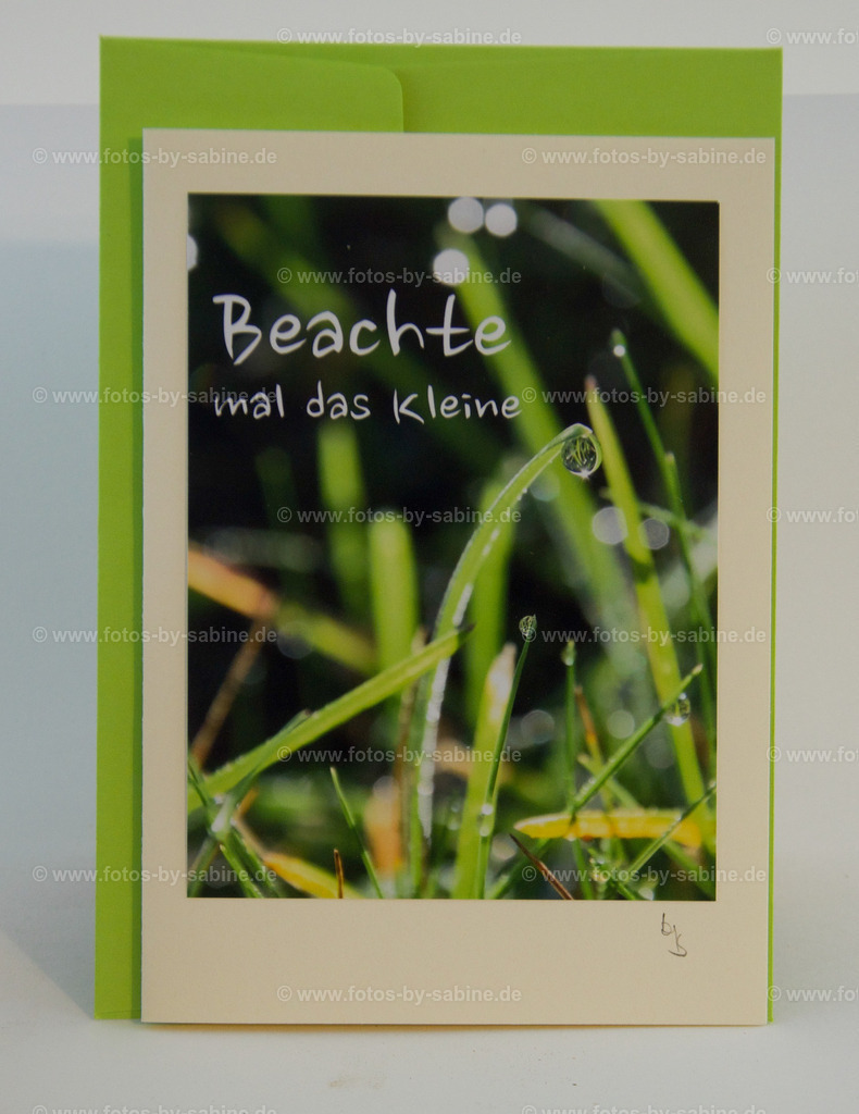 DSC_9066 | fotos-by-sabine - Realisiert mit Pictrs.com