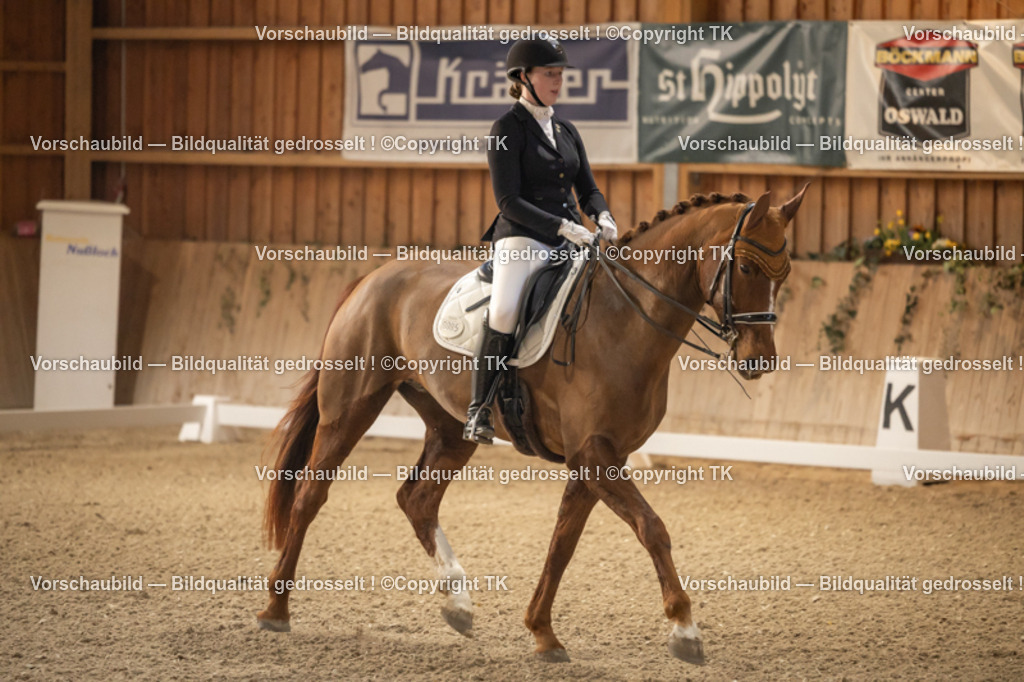 _D5A3575 | Emotionale Pferde- & People-Fotografie rund um Heidelberg, Leimen & Umgebung. Natürliche Fotos von Pferd, Mensch & Familie. Jetzt Termin sichern!