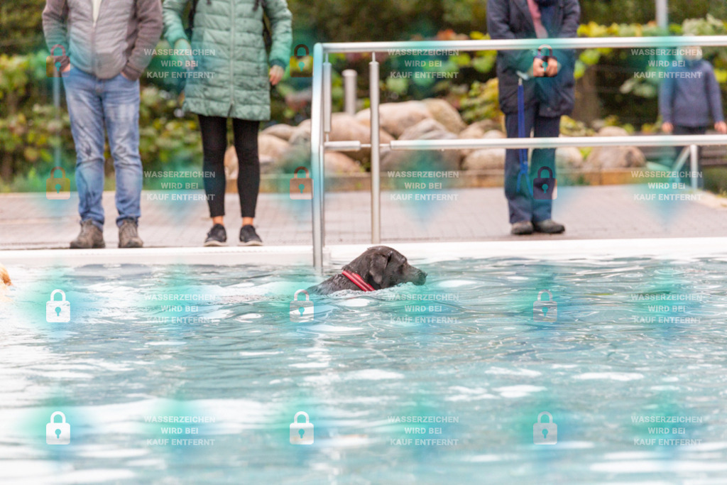 _HP_7177_1000o | HetPix, HetPix Fotodesign, Fotografie, Fotodesign, Webshop, Sportfotografie, Portraitfotografie, Onlineshop, Sportfotografie, Polch, Motorsportfotografie, Eventfotografie