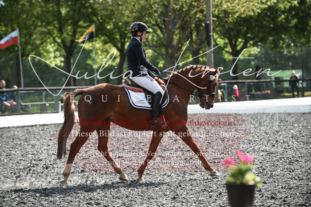 DSC_9030 | Pferde- und Turnierfotografie in Westsachsen. Pferdeportraits, Auftragszeichnungen und intuitive Kunst.