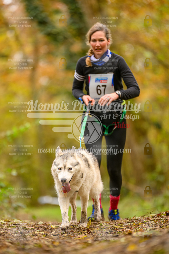 MompixPhotography_Bischwiller24_SA_Canicross-112 | PayLife