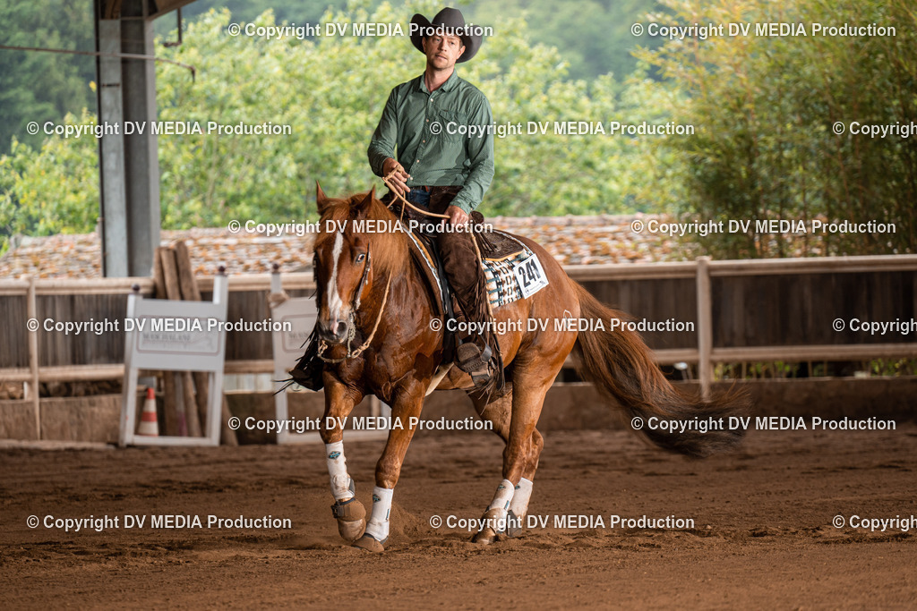 Erbach Tag 2-780 | dv-media-shop - Realisiert mit Pictrs.com