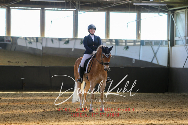 IMG_2954 | Turniersportfotografie; Pferdefotografie; Dressurfotografie