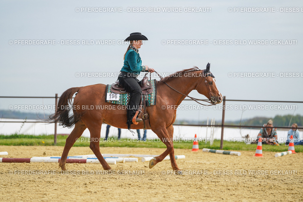 DSC03632 | Pferdegrafie