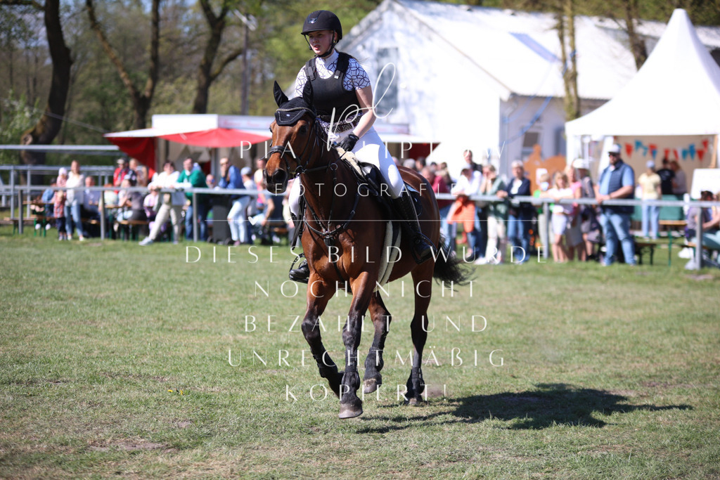 IMGT8773 | pl-fotografie