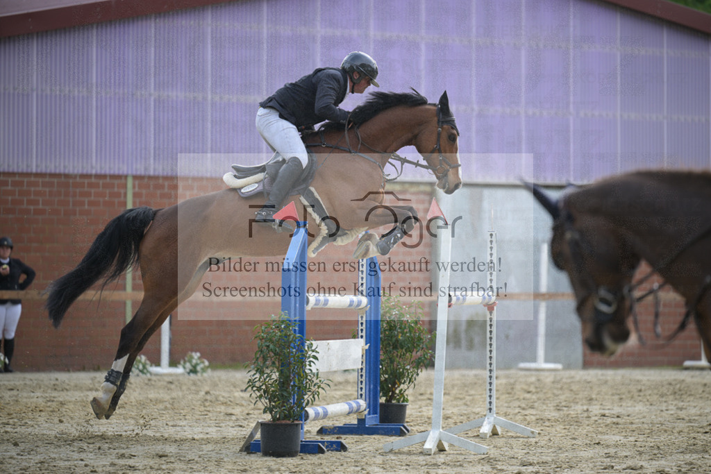 DOS_2880 | Entdecke hochwertige Reitturnierfotos von Foto Oger. Professionell, emotional und authentisch – jetzt Lieblingsmomente im Shop bestellen. - Realisiert mit Pictrs.com