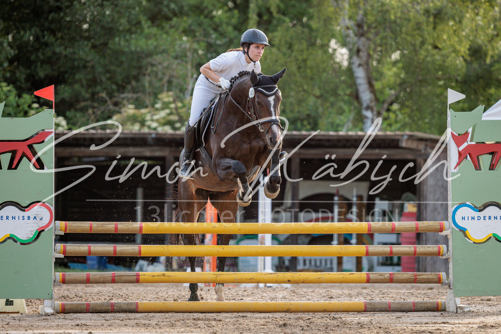 20260529-_3LI1771 | Tierfotografie Pferde, Hunde, Katzen, Haustiere.
Turnierfotografie Reitturniere, Reiten, Springreiten, Dressur in Hanau, dem Main-Kinzig-Kreis und dem Rhein-Main- Gebiet um Frankfurt