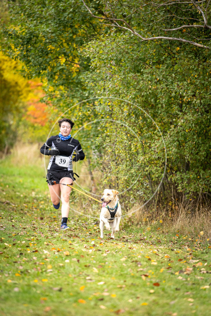 Pfotenfotografie_DV3A2259 | Hundefotografie, Tierfotograf, Pfotenfotografie, Fotoshooting Hund, Hunde Portrait, Hundesport, Hundeportraits, Heideshooting, Hunde, Sportfotograf, Hundefotograf, Turnierhundsport, THS,  - Realisiert mit Pictrs.com
