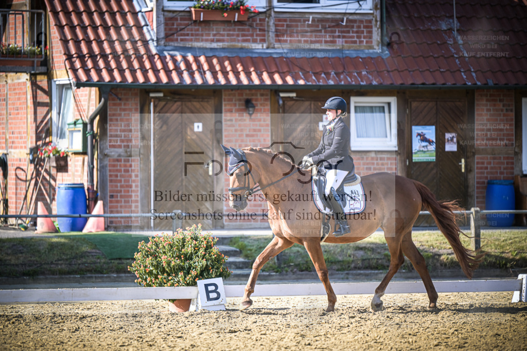 DOS_0926 | Entdecke hochwertige Reitturnierfotos von Foto Oger. Professionell, emotional und authentisch – jetzt Lieblingsmomente im Shop bestellen. - Realisiert mit Pictrs.com
