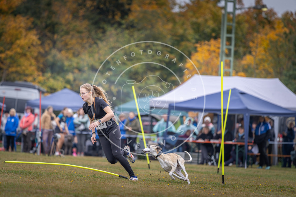 Pfotenfotografie_DV3A1007 | Hundefotografie, Tierfotograf, Pfotenfotografie, Fotoshooting Hund, Hunde Portrait, Hundesport, Hundeportraits, Heideshooting, Hunde, Sportfotograf, Hundefotograf, Turnierhundsport, THS,  - Realisiert mit Pictrs.com