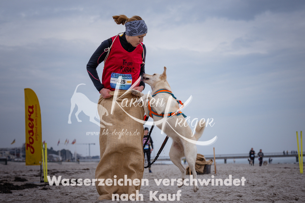 1208_ZZ92206 | kk-dogfotos