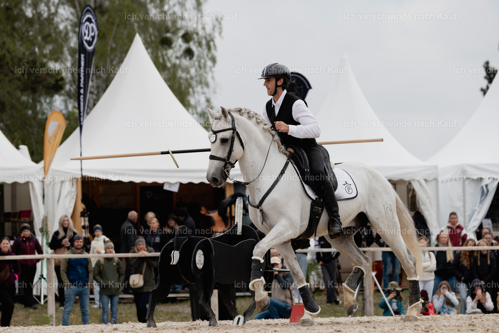 PI26_SP_StoibphotographyC2_C0548.jpg | working equitationturnier fotograf videograf stoibphotography marixx film working equitation deutschland reitsport turnierfotografie eventfotografie equestrian events