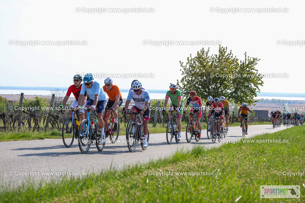 IMG_1658 | @sportshot_your_pictrs #yourpictures#roadtowm2029 #nrm #neusiedlerseeradmarathon #neusiedlersee #neusiedlerseetourismus #burgenland #mörbisch #nrm26 #burgenlandtourismus #voglundco #poweredbyburgenlandtourismus #radsport #rad #marathon #ucigranfondo #visitburgenland #ucigranfondoworldseries