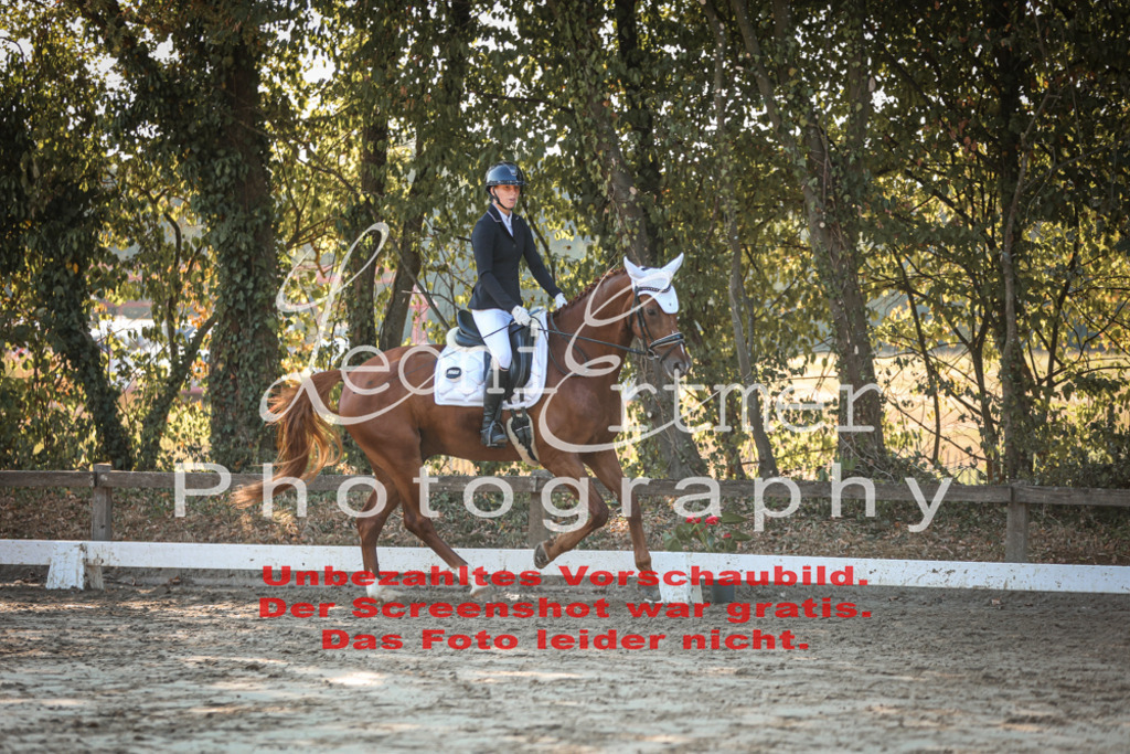 02.SaDrA00144 | Leoni Ertmer Photography - Realisiert mit Pictrs.com