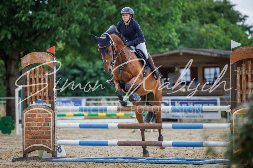 20260705-_3LI5952 | Tierfotografie Pferde, Hunde, Katzen, Haustiere.
Turnierfotografie Reitturniere, Reiten, Springreiten, Dressur in Hanau, dem Main-Kinzig-Kreis und dem Rhein-Main- Gebiet um Frankfurt