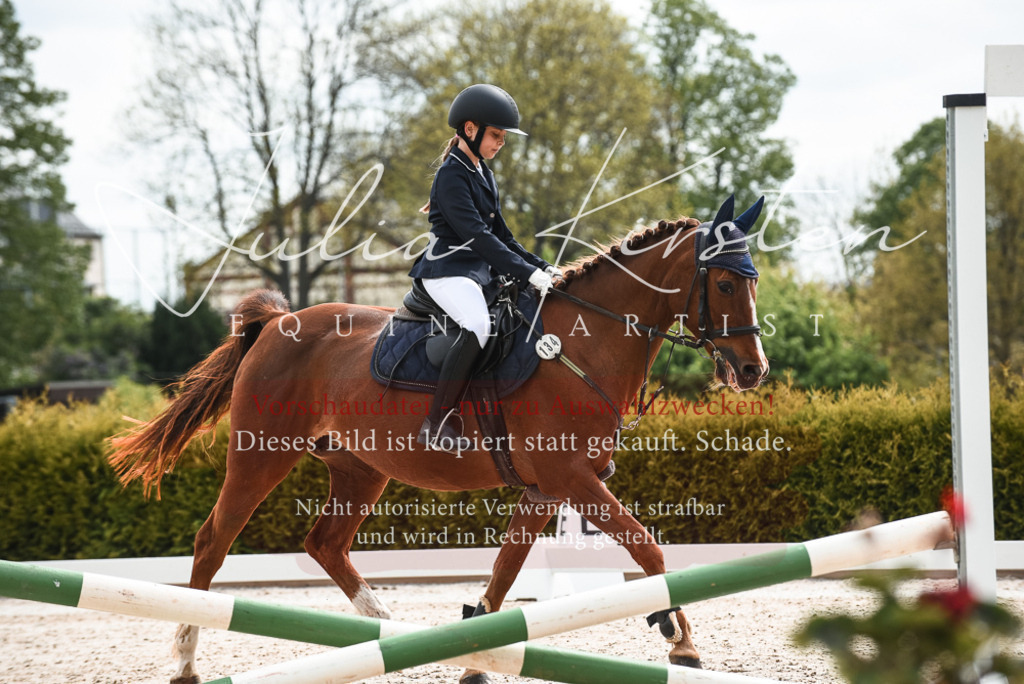 20230518_JK-Röhrsdorf-10-004 | Pferde- und Turnierfotografie in Westsachsen. Pferdeportraits, Auftragszeichnungen und intuitive Kunst.