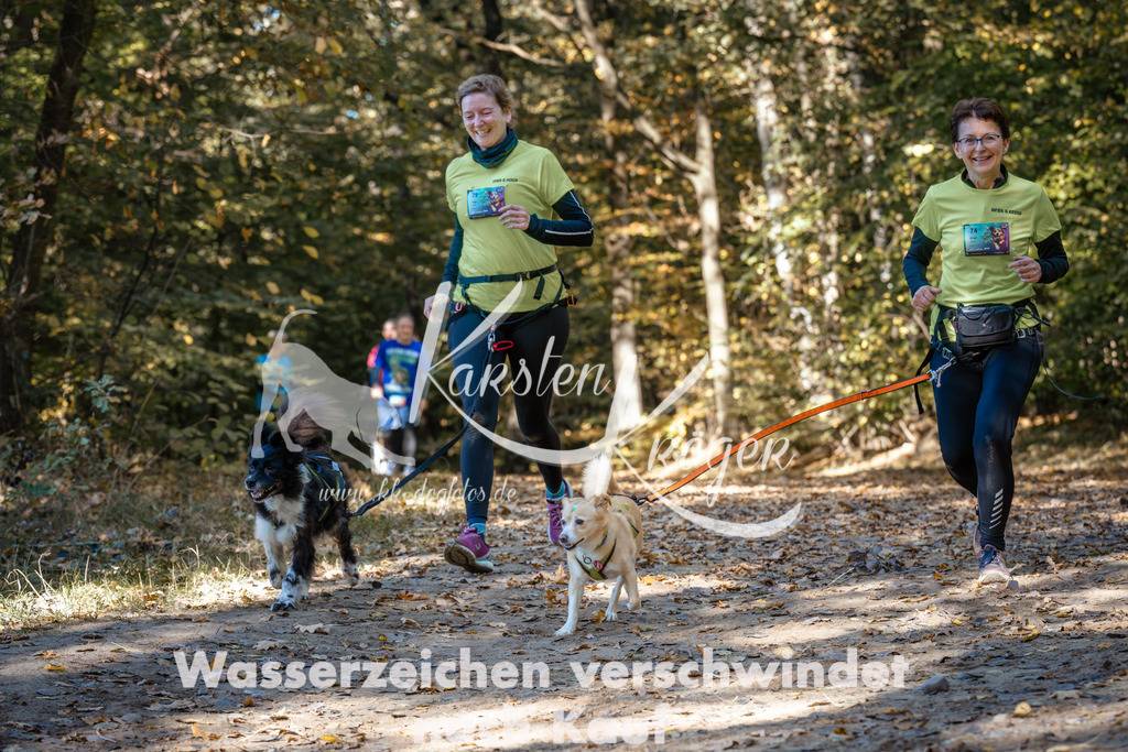 1205_ZZ94150 | kk-dogfotos