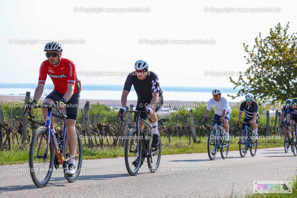 IMG_1420 | @sportshot_your_pictrs #yourpictures#roadtowm2029 #nrm #neusiedlerseeradmarathon #neusiedlersee #neusiedlerseetourismus #burgenland #mörbisch #nrm26 #burgenlandtourismus #voglundco #poweredbyburgenlandtourismus #radsport #rad #marathon #ucigranfondo #visitburgenland #ucigranfondoworldseries