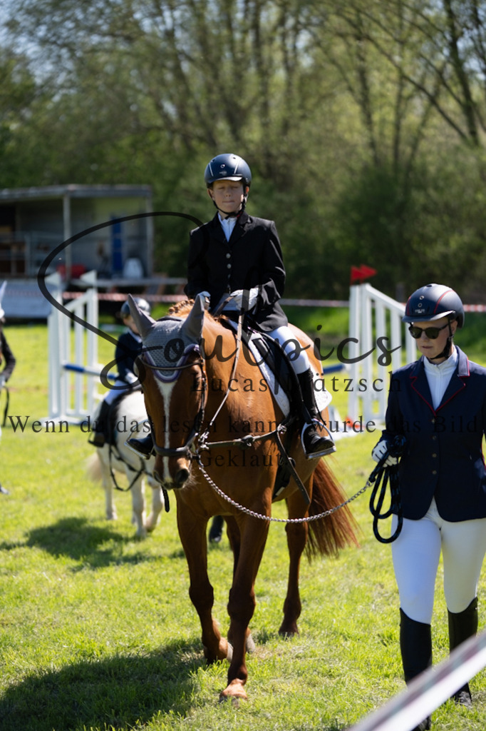 A7V01250 | Pferdefotograf