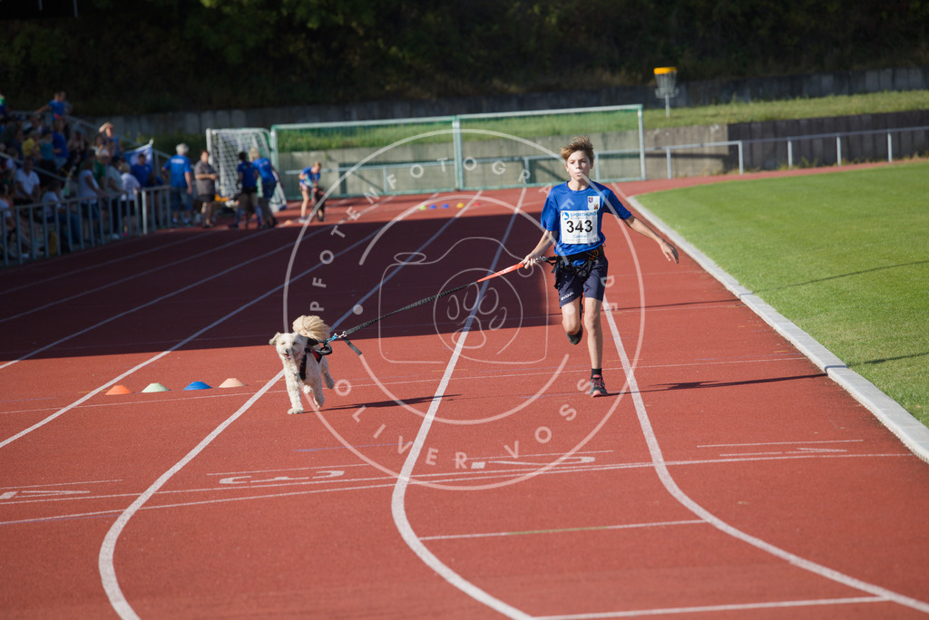 0L8A9121 | Hundefotografie, Tierfotograf, Pfotenfotografie, Fotoshooting Hund, Hunde Portrait, Hundesport, Hundeportraits, Heideshooting, Hunde, Sportfotograf, Hundefotograf, Turnierhundsport, THS,  - Realisiert mit Pictrs.com
