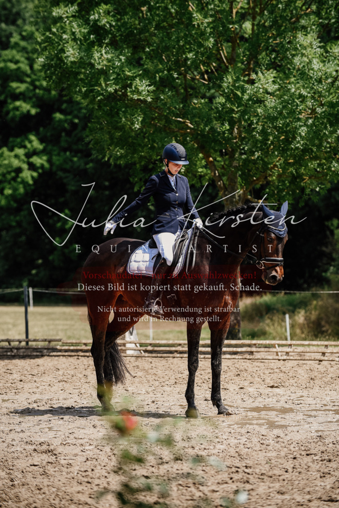 DSC_1521 | Pferde- und Turnierfotografie in Westsachsen. Pferdeportraits, Auftragszeichnungen und intuitive Kunst.