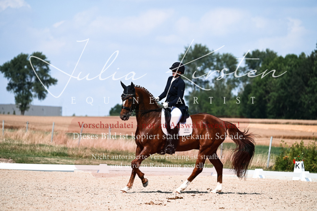 DSC_3213 | Pferde- und Turnierfotografie in Westsachsen. Pferdeportraits, Auftragszeichnungen und intuitive Kunst.