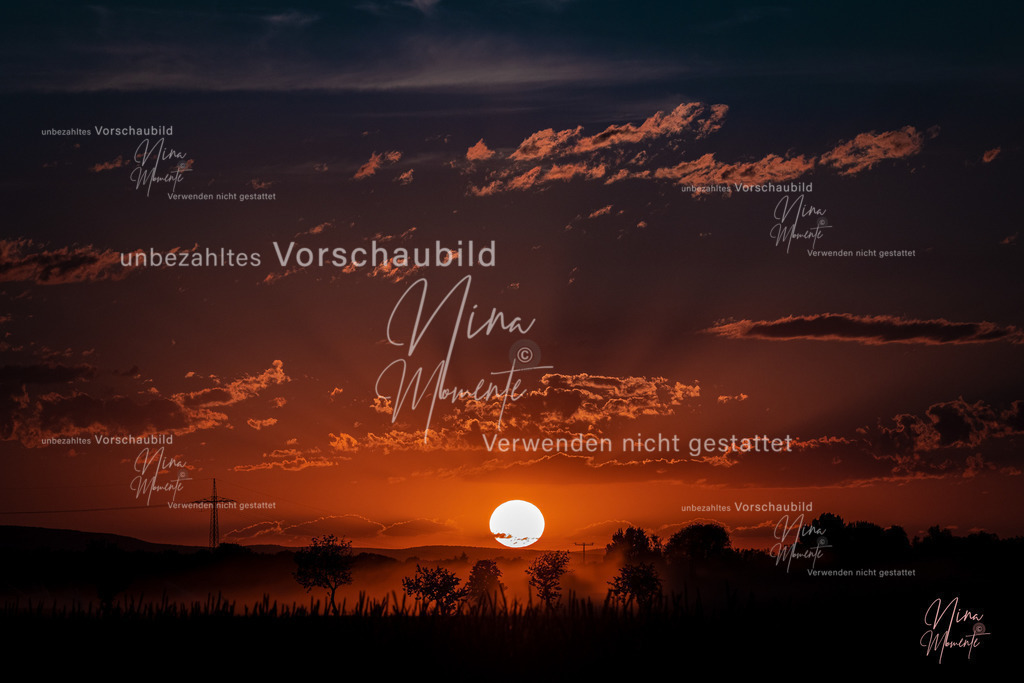 _16A3500-1 | Einzigartige Fotos von Hunden & Menschen –Actionfotos, Portraits, Vereinsaufnahmen & Paarshootings – authentisch, lebendig & mit Herz.