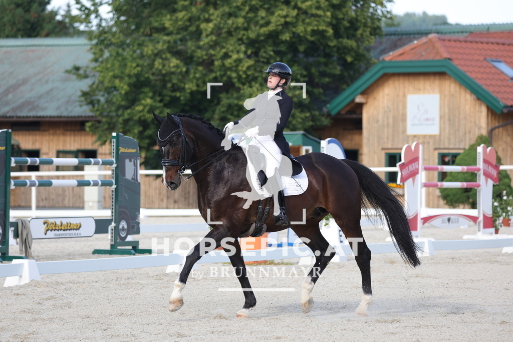 0P6A3750 | Willkommen bei Brunnmayr - Design & Fotografie – Ihrem Spezialisten für Reitturniere und Pferdeveranstaltungen in Oberösterreich, Salzburg und Bayern! Seit über 17 Jahren sind wir leidenschaftlich dabei.