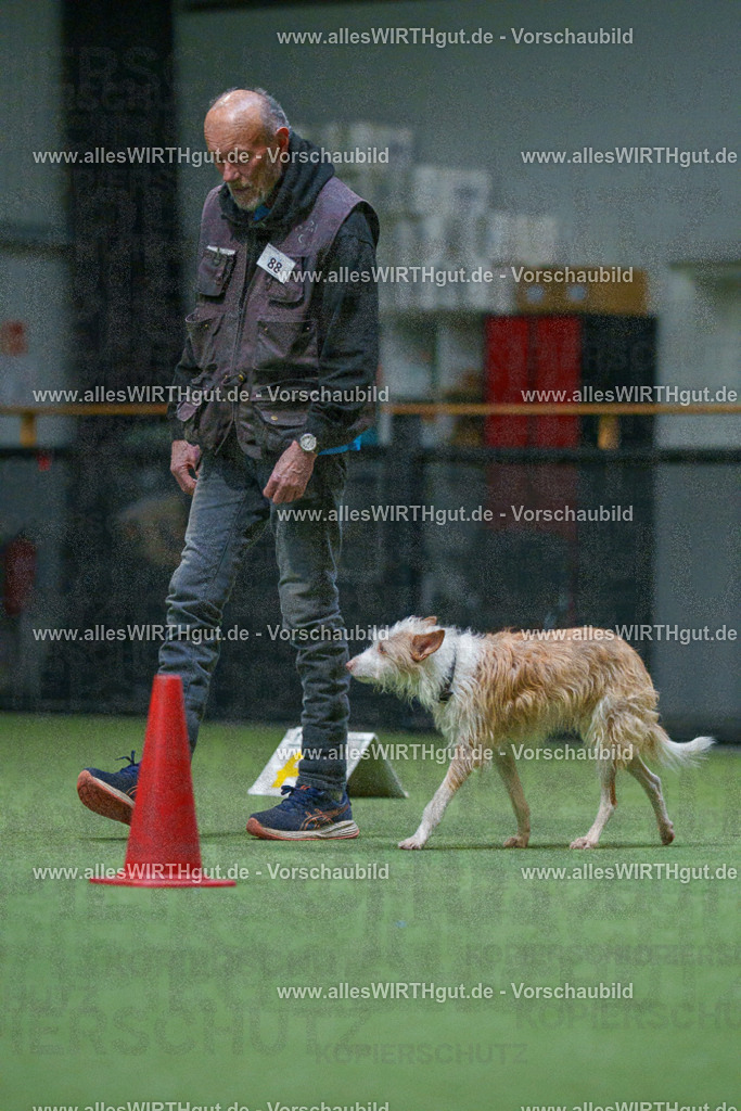 7R503594 | Professionelle Tierfotografie in Mönchengladbach von Daniel Wirth (allesWIRTHgut). Liebevolle & natürliche Bilder von Hunden & Katzen für unvergessliche Erinnerungen.