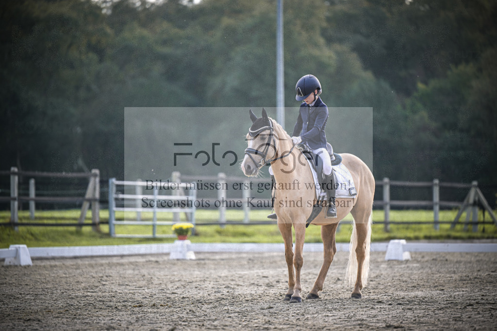 DOS_4624 | Entdecke hochwertige Reitturnierfotos von Foto Oger. Professionell, emotional und authentisch – jetzt Lieblingsmomente im Shop bestellen.Deutschlandweite Turnierfotografie. - Realisiert mit Pictrs.com