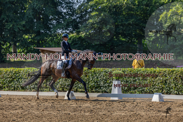 15.8.25 D1 RPF 3j (177 von 255) | mandyhollmannphotographie