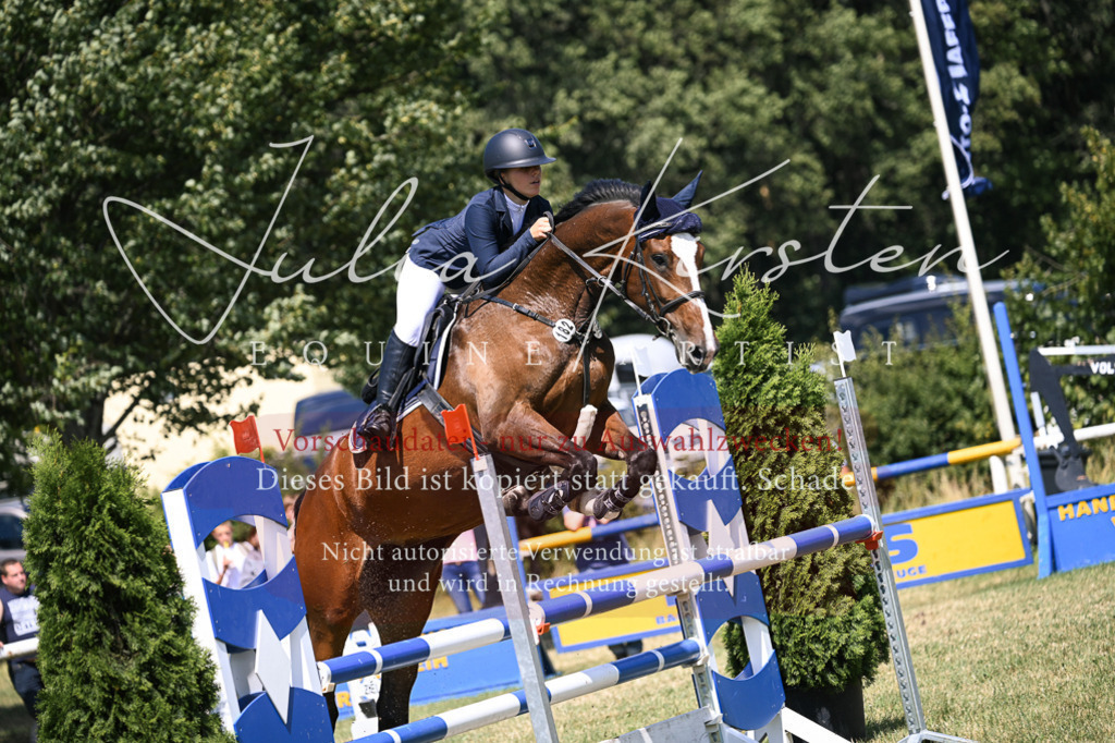 DSC_0118 | Pferde- und Turnierfotografie in Westsachsen. Pferdeportraits, Auftragszeichnungen und intuitive Kunst.