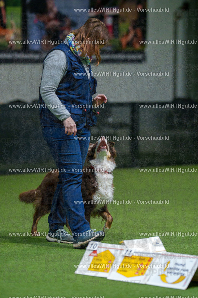 7R504201 | Professionelle Tierfotografie in Mönchengladbach von Daniel Wirth (allesWIRTHgut). Liebevolle & natürliche Bilder von Hunden & Katzen für unvergessliche Erinnerungen.