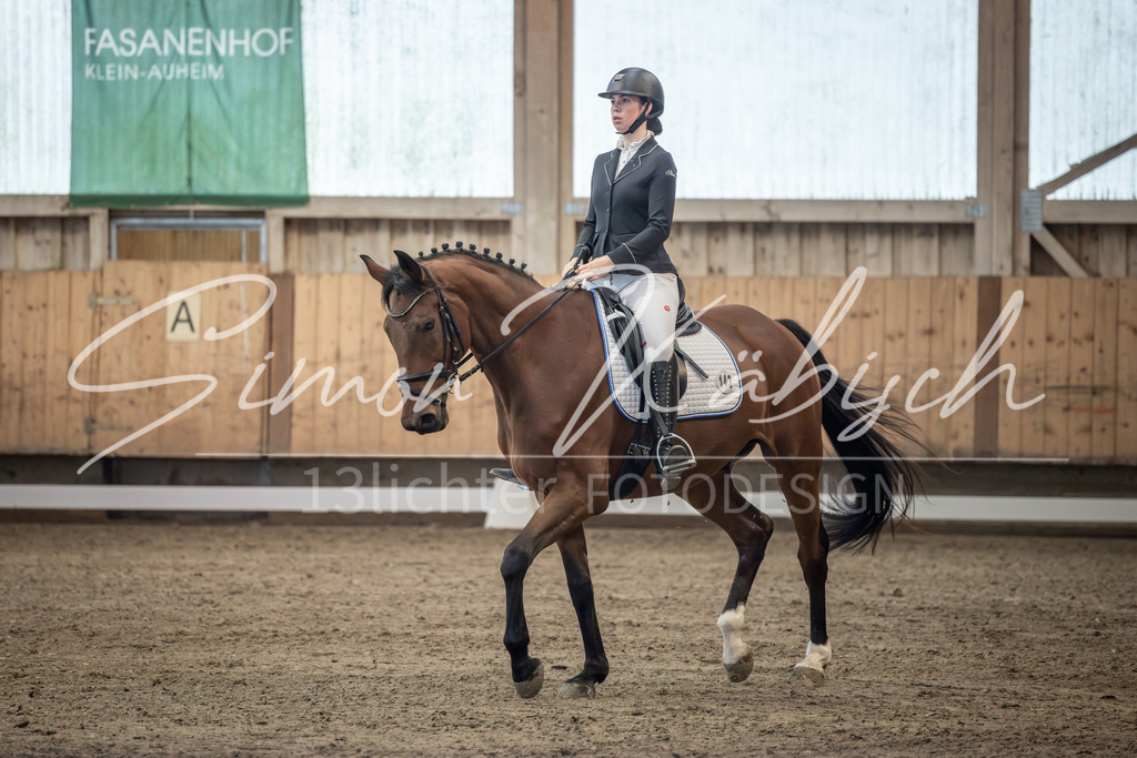 20251011-_3LI6022 | Tierfotografie Pferde, Hunde, Katzen, Haustiere.
Turnierfotografie Reitturniere, Reiten, Springreiten, Dressur in Hanau, dem Main-Kinzig-Kreis und dem Rhein-Main- Gebiet um Frankfurt