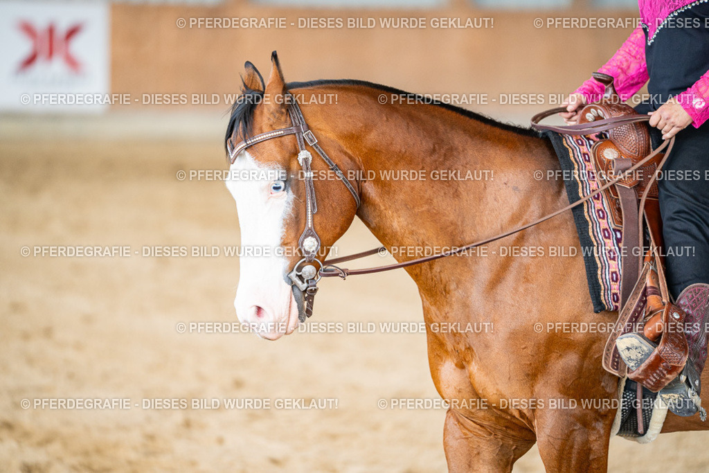 DSC08939 | Pferdegrafie