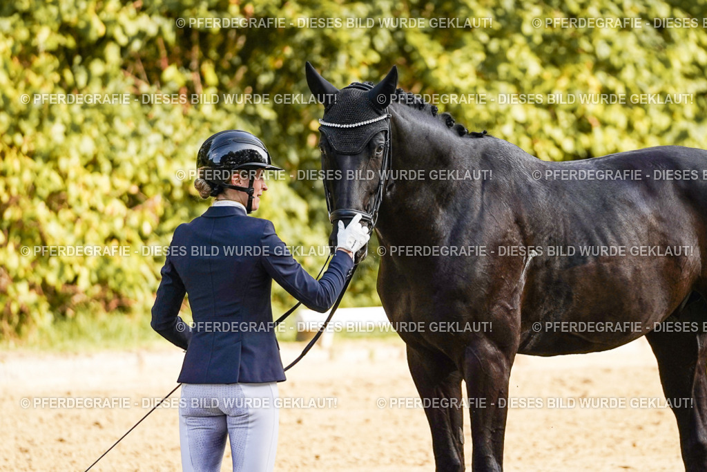 DSC04992 | Pferdegrafie