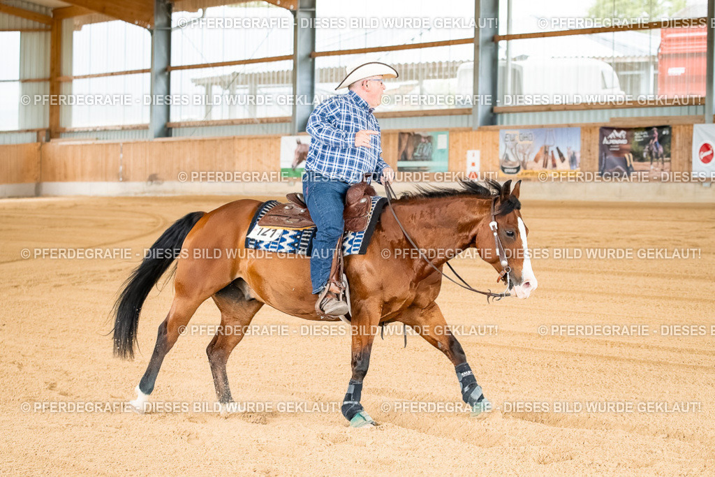 DSC01741 | Pferdegrafie