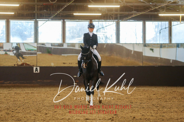 IMG_7230 | Turniersportfotografie; Pferdefotografie; Dressurfotografie
