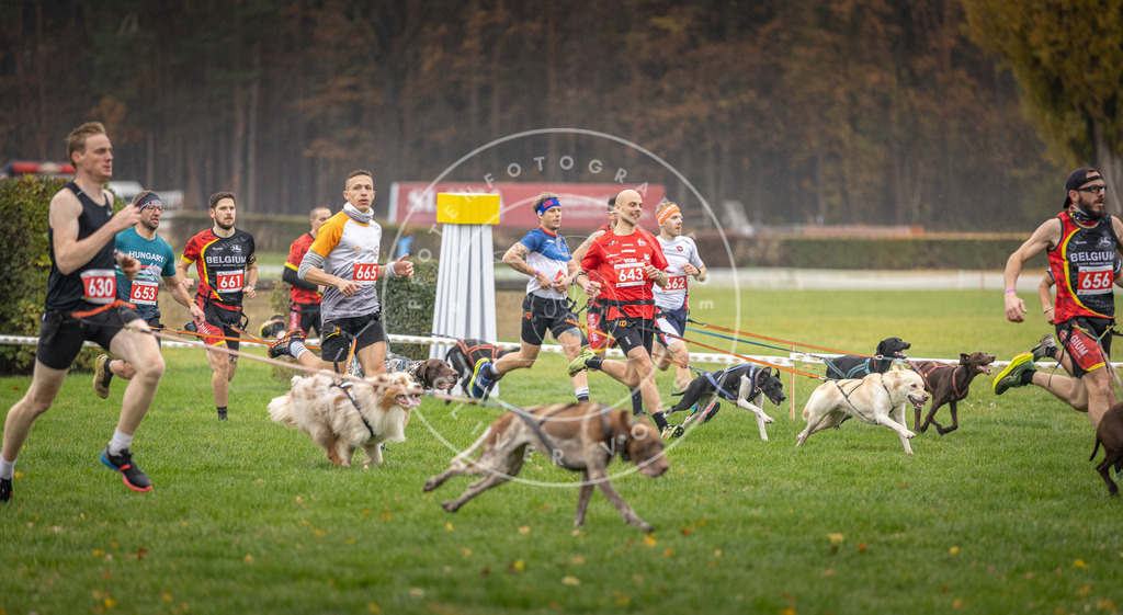 CaniXpix_DV3A9489 | Hundefotografie, Tierfotograf, Pfotenfotografie, Fotoshooting Hund, Hunde Portrait, Hundesport, Hundeportraits, Heideshooting, Hunde, Sportfotograf, Hundefotograf, Turnierhundsport, THS,  - Realisiert mit Pictrs.com