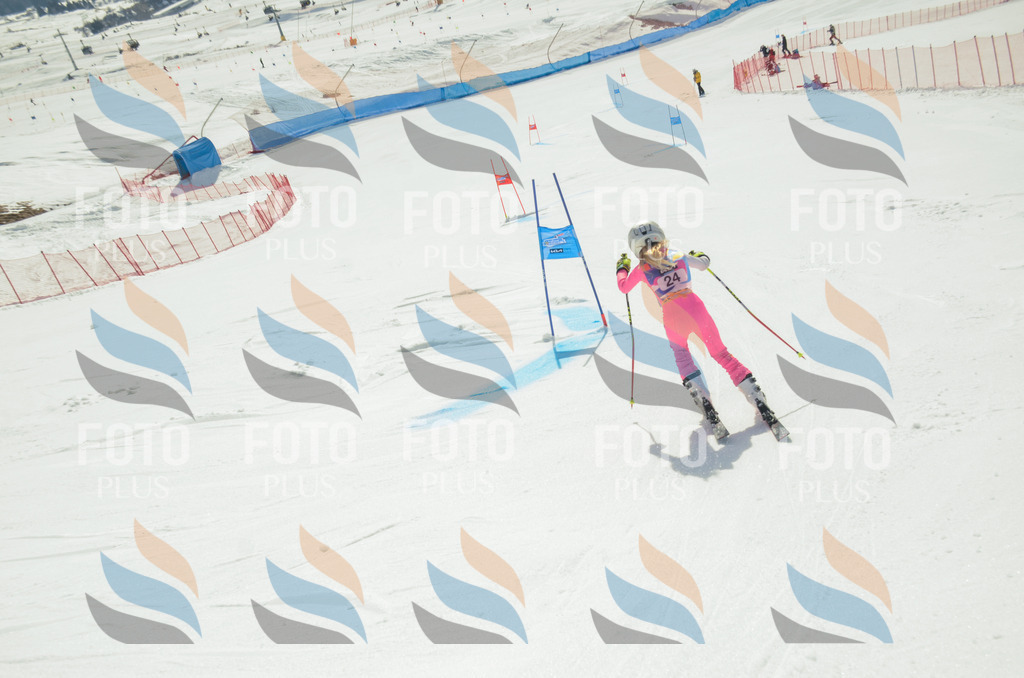 _ELE4791 | holidayphoto