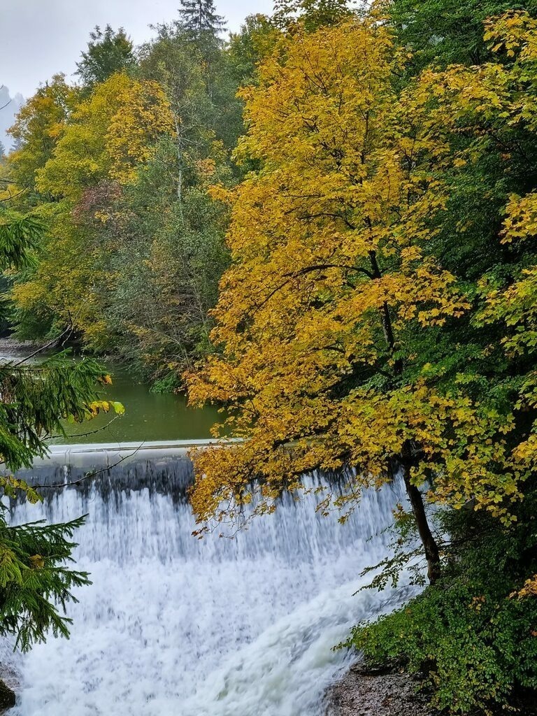 PSX_20221002_223233 | mtkfoto_ - Realisiert mit Pictrs.com